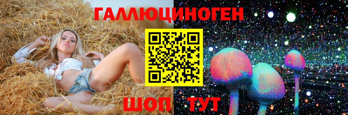 Елец  Галлюциногенные грибы Cubensis  Вход с VPN 