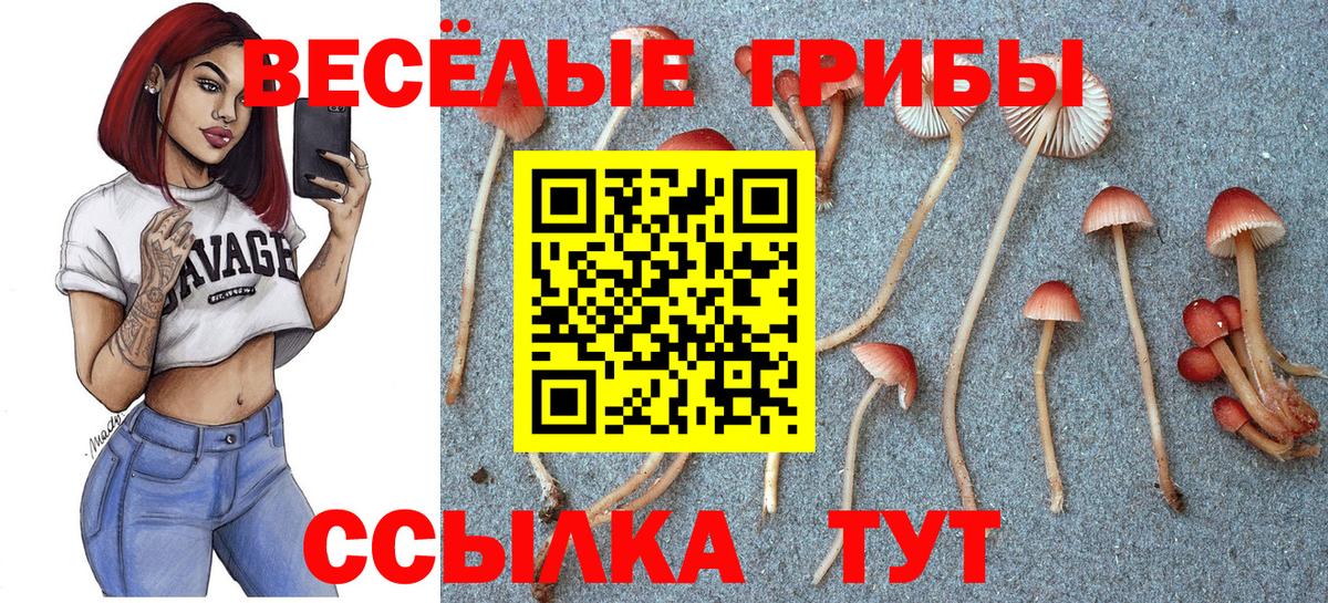Галлюциногенные грибы Magic Shrooms Елец